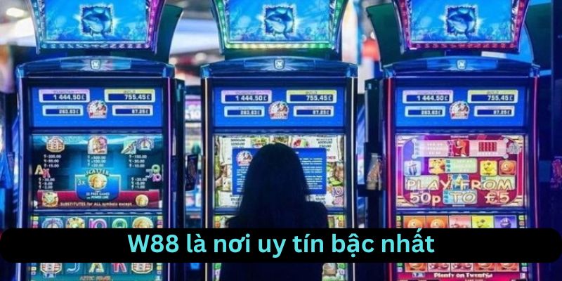 W88 là nơi uy tín cho cược thủ